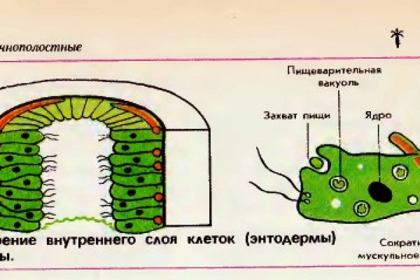 Kraken зеркало даркнет