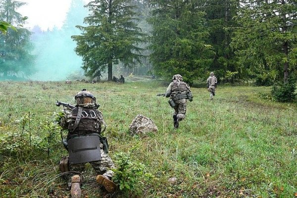 Можно вывести деньги с кракена