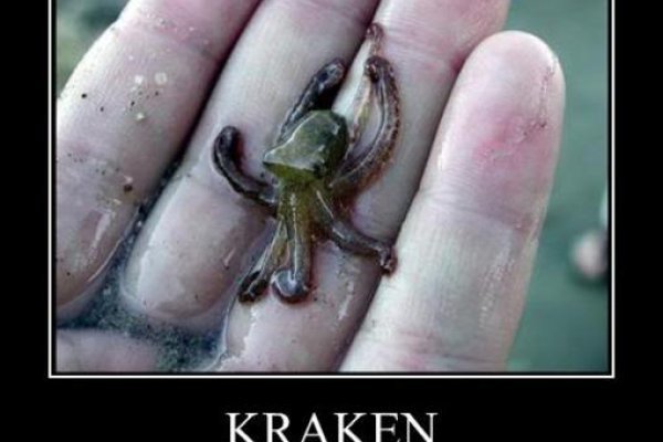 Kraken darknet sliv php