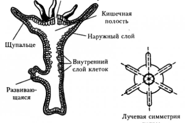 Восстановить аккаунт кракен